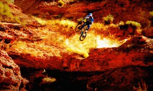 Red Bull Signature