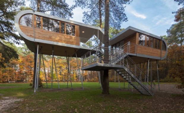 The Tree House