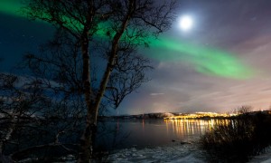 The Aurora